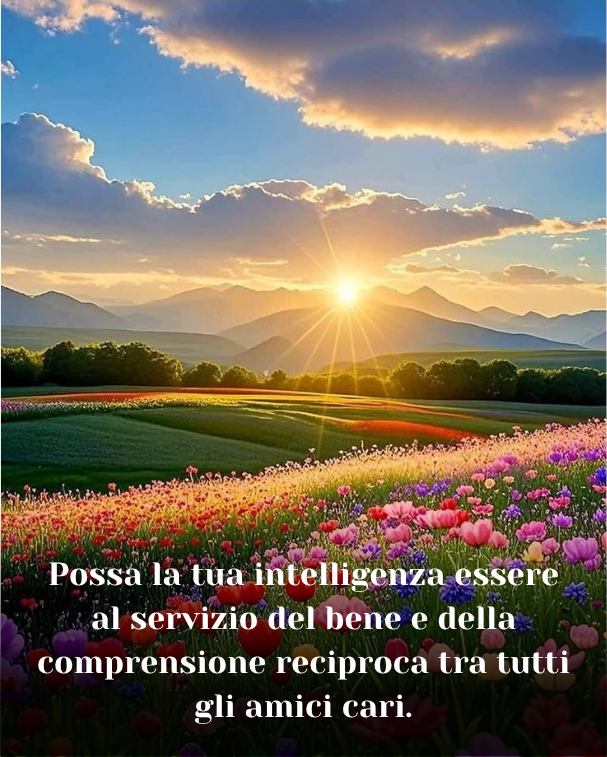 Possa la tua intelligenza essere al servizio del bene e della comprensione reciproca tra tutti gli amici cari