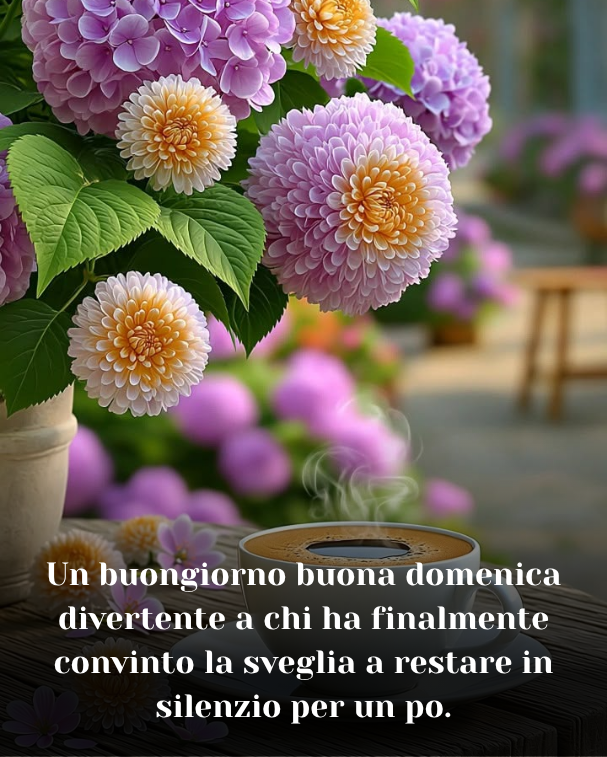 Un buongiorno buona domenica divertente a chi ha finalmente convinto la sveglia a restare in silenzio per un po.