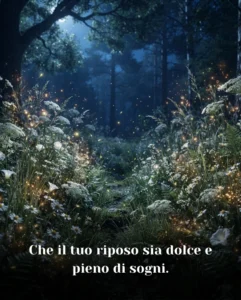 Che il tuo riposo sia dolce e pieno di sogni
