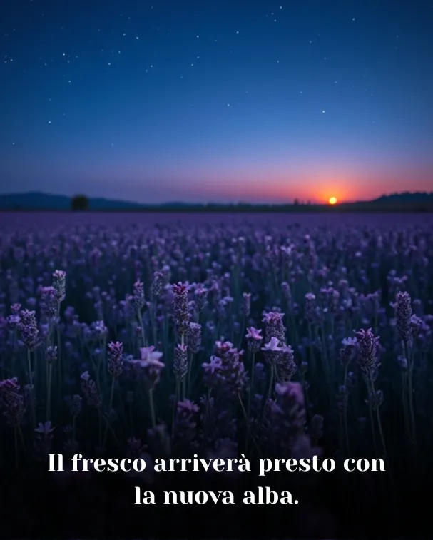 Il fresco arriverà presto con la nuova alba