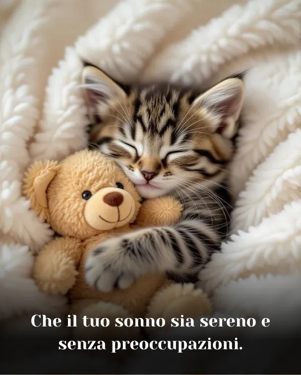 Che il tuo sonno sia sereno e senza preoccupazioni