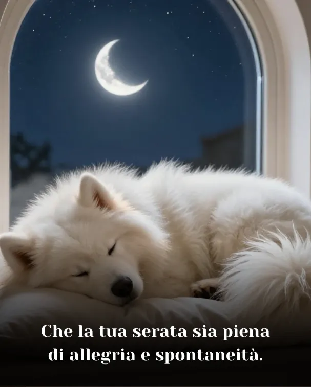 Che la tua serata sia piena di allegria e spontaneità