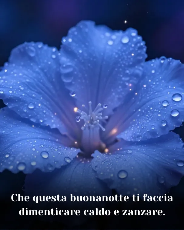 Che questa buonanotte ti faccia dimenticare caldo e zanzare