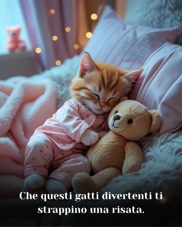 Che questi gatti divertenti ti strappino una risata