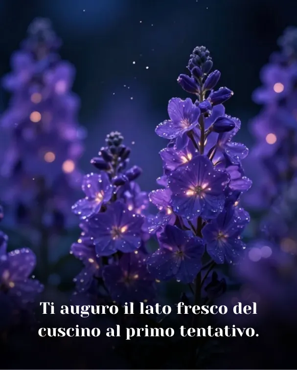 Ti auguro il lato fresco del cuscino al primo tentativo