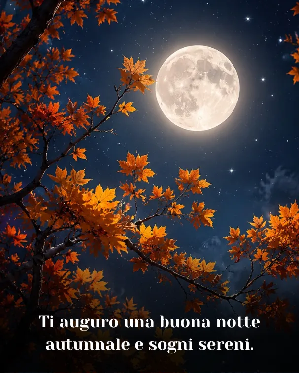 Ti auguro una buona notte autunnale e sogni sereni