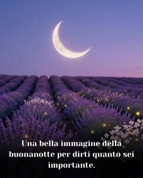 Una bella immagine della buonanotte per dirti quanto sei importante